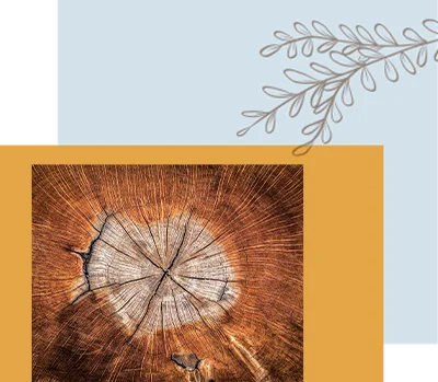 dawra-psicoterapia-somatica-dawra-3